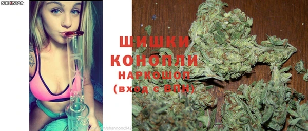 дмт Белокуриха